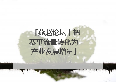 燕赵论坛丨把赛事流量转化为产业发展增量