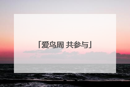 爱鸟周 共参与