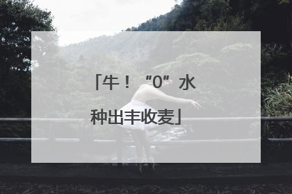 牛！“0”水种出丰收麦
