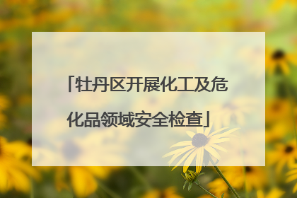 牡丹区开展化工及危化品领域安全检查