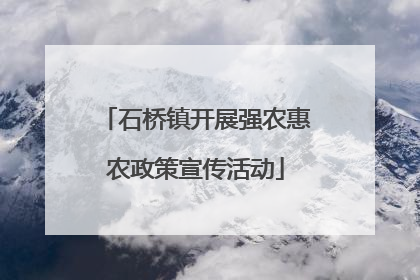 石桥镇开展强农惠农政策宣传活动