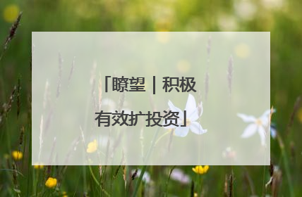 瞭望｜积极有效扩投资