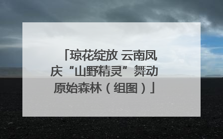 琼花绽放 云南凤庆“山野精灵”舞动原始森林（组图）