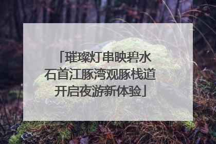 璀璨灯串映碧水 石首江豚湾观豚栈道开启夜游新体验