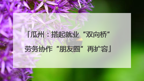 瓜州：搭起就业“双向桥” 劳务协作“朋友圈”再扩容