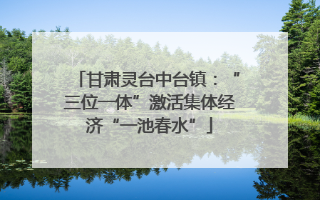 甘肃灵台中台镇：“三位一体”激活集体经济“一池春水”