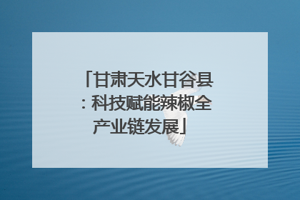 甘肃天水甘谷县：科技赋能辣椒全产业链发展