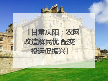 甘肃庆阳：农网改造解民忧 配变投运促振兴