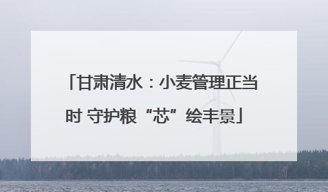 甘肃清水：小麦管理正当时 守护粮“芯”绘丰景