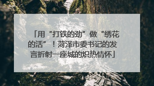 用“打铁的劲”做“绣花的活”！菏泽市委书记的发言折射一座城的炽热情怀