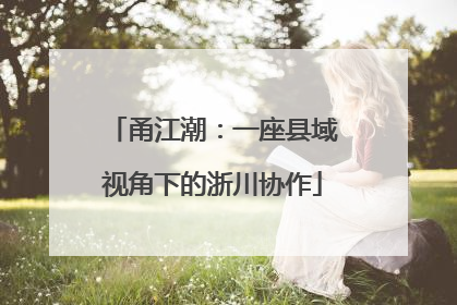 甬江潮：一座县域视角下的浙川协作