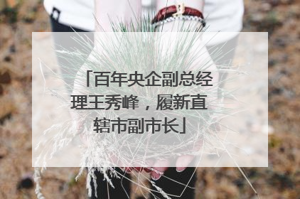 百年央企副总经理王秀峰，履新直辖市副市长
