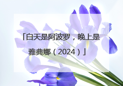 白天是阿波罗，晚上是雅典娜（2024）