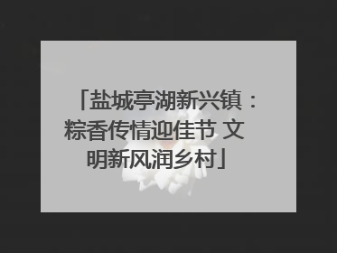 盐城亭湖新兴镇：粽香传情迎佳节 文明新风润乡村