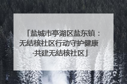 盐城市亭湖区盐东镇：无结核社区行动守护健康 ·共建无结核社区