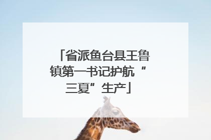 省派鱼台县王鲁镇第一书记护航“三夏”生产