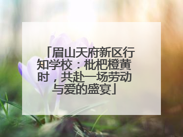 眉山天府新区行知学校：枇杷橙黄时，共赴一场劳动与爱的盛宴