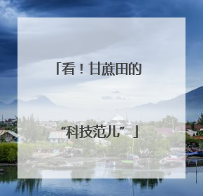 看！甘蔗田的“科技范儿”