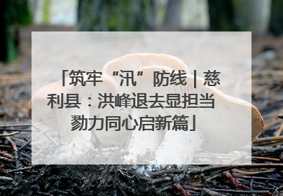 筑牢“汛”防线｜慈利县：洪峰退去显担当 勠力同心启新篇