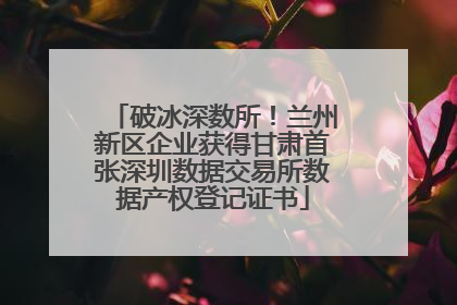 破冰深数所！兰州新区企业获得甘肃首张深圳数据交易所数据产权登记证书