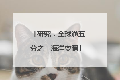 研究：全球逾五分之一海洋变暗