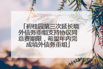 碧桂园第三次延长境外债务重组支持协议同意费期限，希望年内完成境外债务重组