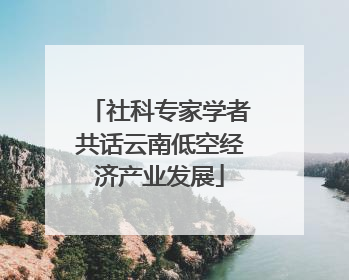 社科专家学者共话云南低空经济产业发展
