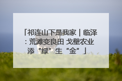 祁连山下是我家｜临泽：荒滩变良田 戈壁农业添“绿”生“金”