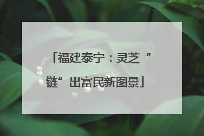 福建泰宁：灵芝“链”出富民新图景