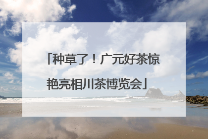 种草了！广元好茶惊艳亮相川茶博览会