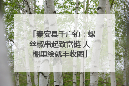 秦安县千户镇：螺丝椒串起致富链 大棚里绘就丰收图