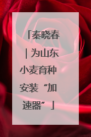 秦晓春｜为山东小麦育种安装“加速器”