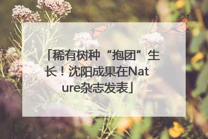 稀有树种“抱团”生长！沈阳成果在Nature杂志发表