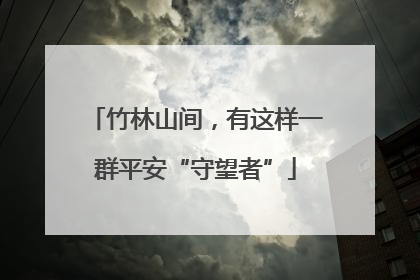 竹林山间，有这样一群平安“守望者”