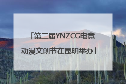 第三届YNZCG电竞动漫文创节在昆明举办