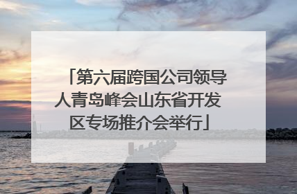 第六届跨国公司领导人青岛峰会山东省开发区专场推介会举行