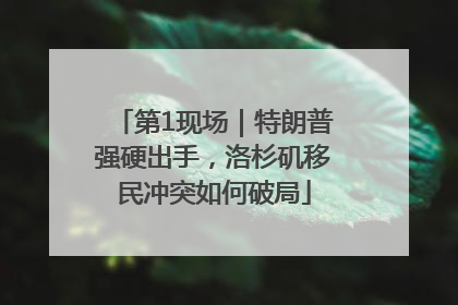 第1现场｜特朗普强硬出手，洛杉矶移民冲突如何破局