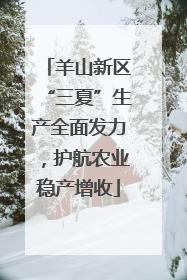 羊山新区“三夏”生产全面发力，护航农业稳产增收