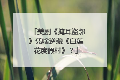 美剧《掩耳盗邻》凭啥逆袭《白莲花度假村》？