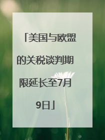 美国与欧盟的关税谈判期限延长至7月9日
