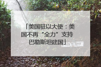 美国驻以大使：美国不再“全力”支持巴勒斯坦建国