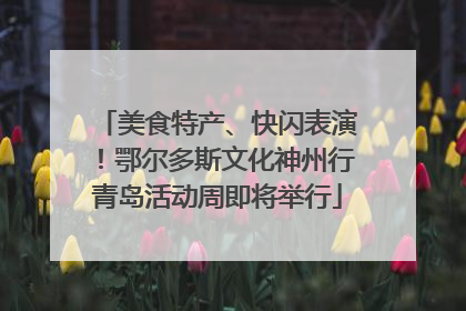 美食特产、快闪表演！鄂尔多斯文化神州行青岛活动周即将举行