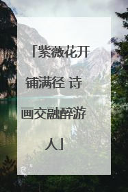 紫薇花开铺满径 诗画交融醉游人