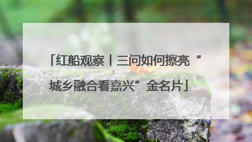 红船观察丨三问如何擦亮“城乡融合看嘉兴”金名片