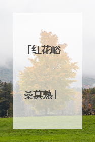 红花峪 桑葚熟
