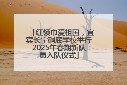 红领巾爱祖国，宜宾长宁硐底学校举行2025年春期新队员入队仪式