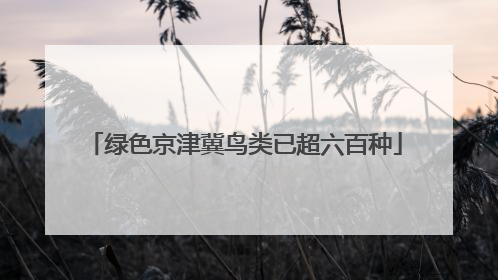 绿色京津冀鸟类已超六百种