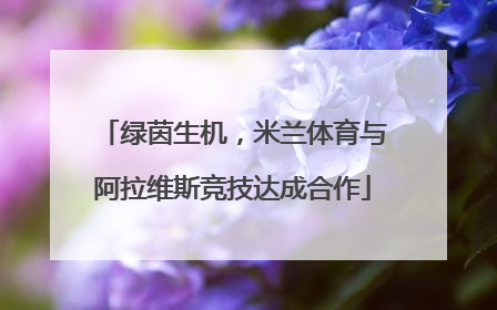 绿茵生机，米兰体育与阿拉维斯竞技达成合作