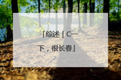 综述｜C一下，很长春