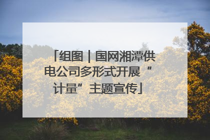 组图｜国网湘潭供电公司多形式开展“计量”主题宣传